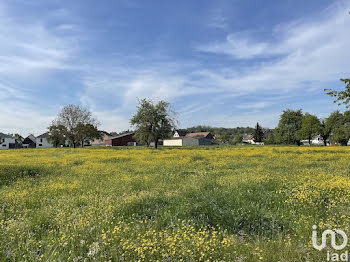 appartement à Blotzheim (68)