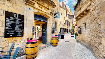 locaux professionnels à Sarlat-la-caneda (24)