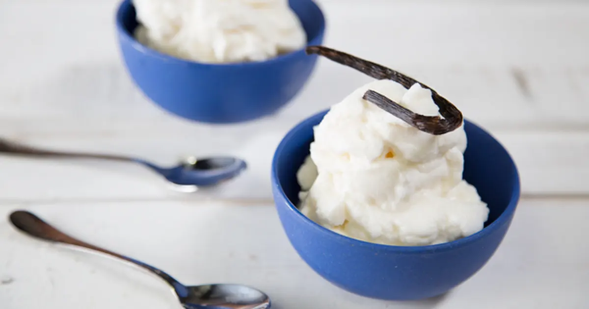 Lactose Free Vanilla Ice Cream - Wild Wild Whisk