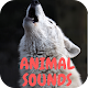 Animal sounds for kids free  Download on Windows