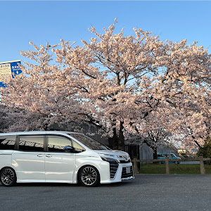 ヴォクシー ZRR80W