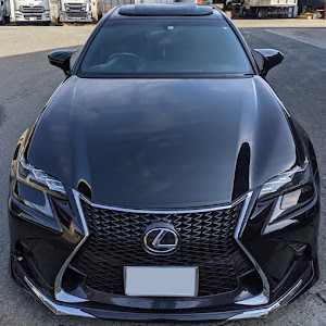 GS GRL10