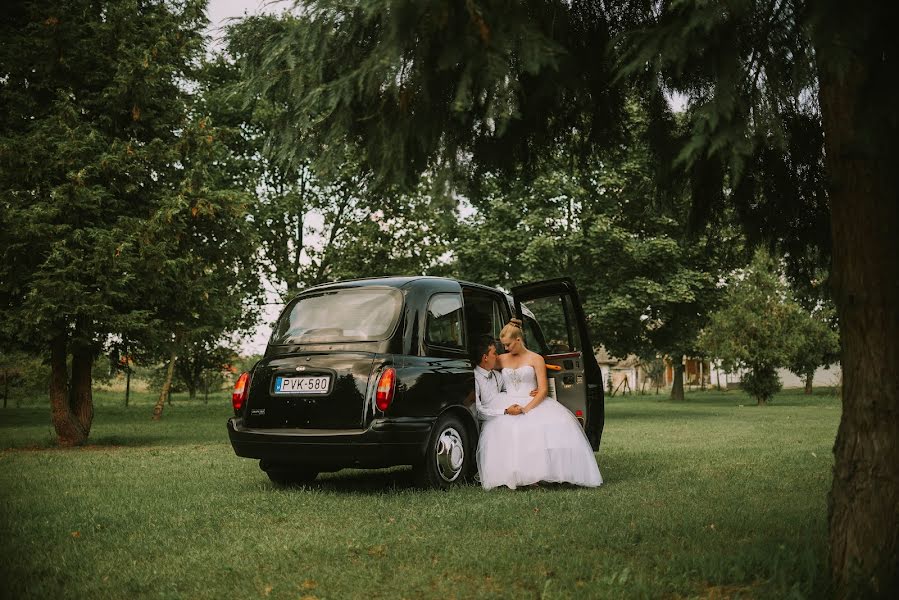 結婚式の写真家Bóka Balázs (donbaalazs)。2019 1月21日の写真