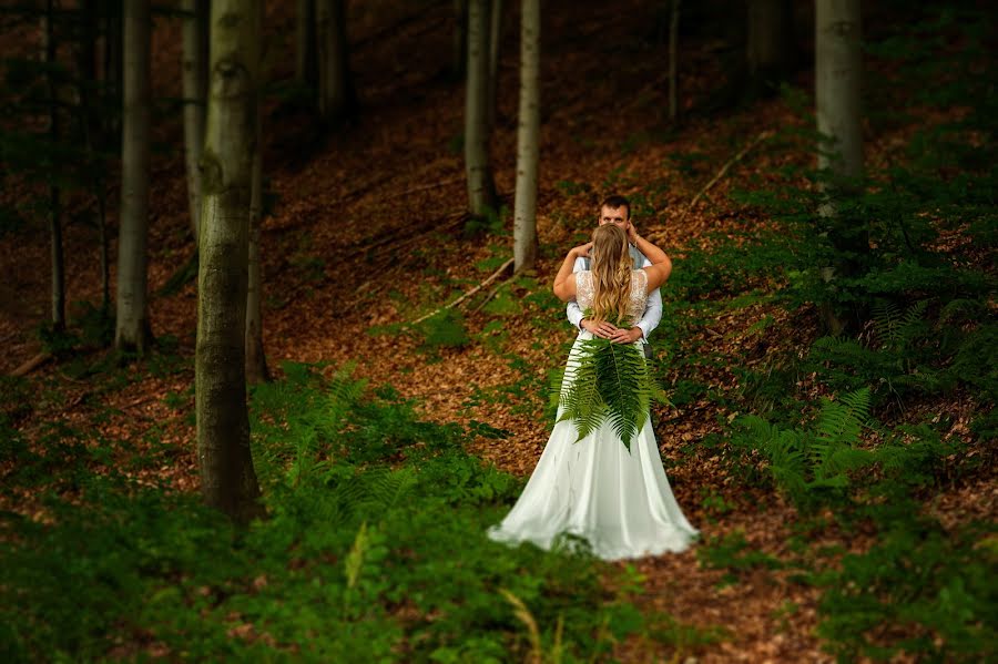 Fotógrafo de casamento Anna Radziejewska-Lorek (annaradziejewska). Foto de 6 de agosto 2019