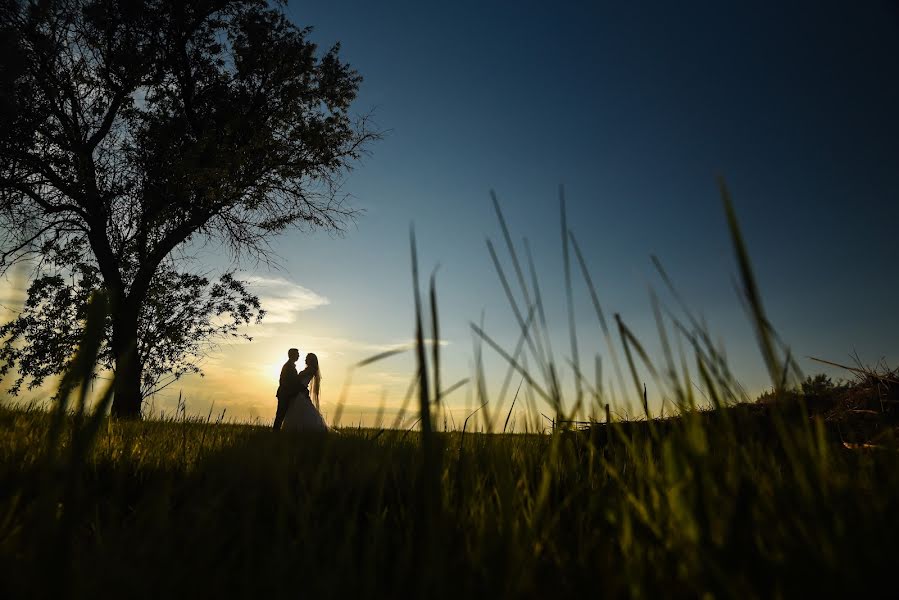 Fotografo di matrimoni Alin Panaite (panaite). Foto del 25 maggio 2016