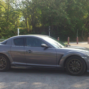 CR-Z ZF1