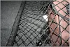 miniatures image - 2
