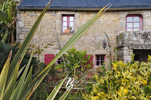 House with garden 4