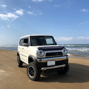 ハスラー MR41S