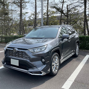 RAV4 MXAA54