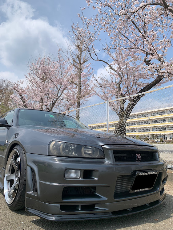 スカイラインのピックアップされたい・お花見ドライブ・桜コラボ・サクラと愛車・桜と愛車に関するカスタム事例の投稿画像1枚目