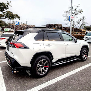 RAV4 AXAP54