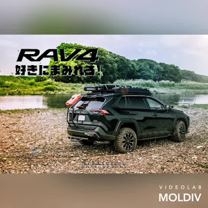 RAV4 AXAH54