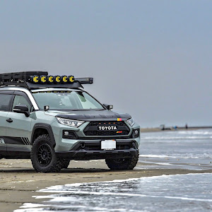 RAV4 MXAA54