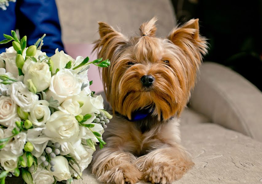 Fotógrafo de bodas Galina Milyukova (vistarstudio). Foto del 13 de enero 2020