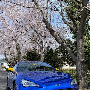 BRZ ZC6