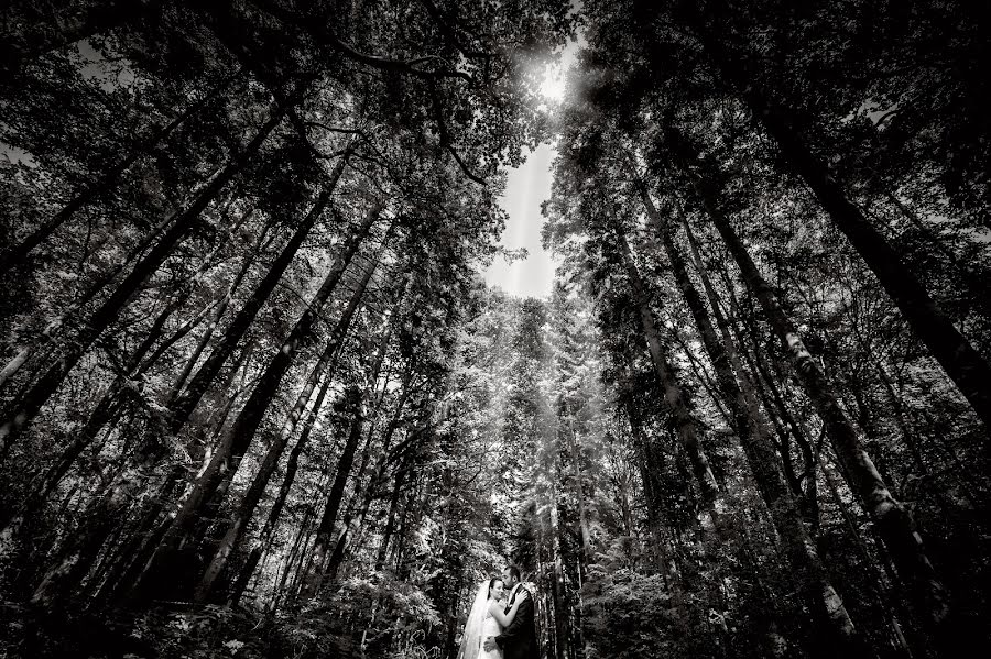 Fotógrafo de bodas Yann Faucher (yannfaucher). Foto del 22 de julio 2016