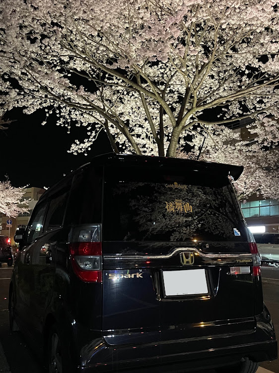 ゼストスパークのサクラと愛車・桜とコラボ・桜・夜桜に関するカスタム事例の投稿画像4枚目