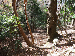 巡視路に合流