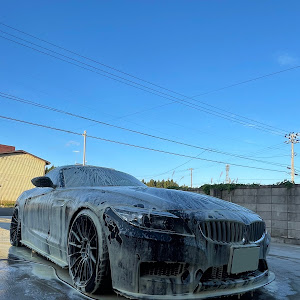 Z4 E89