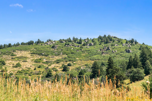 Land 4