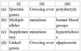 Crossing Over (Genetic Recombination)