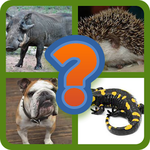 Download Guess the animal For PC Windows and Mac