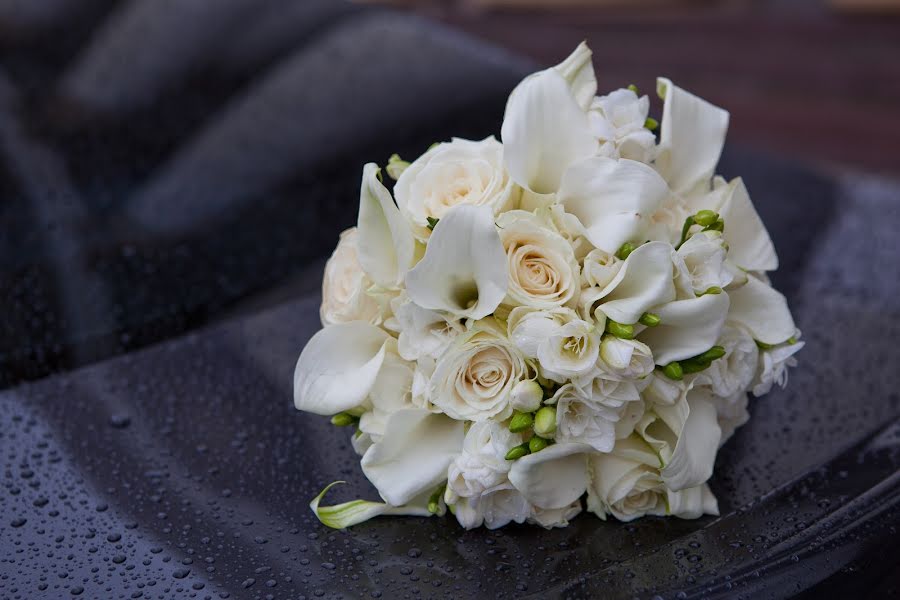 Fotógrafo de casamento Dmitriy Andryuschenko (fano). Foto de 7 de janeiro 2015