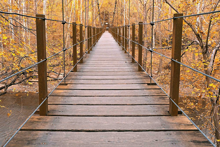 A suspension bridge in the Orange Grove area of Patapsco Valley State Park near Baltimore.