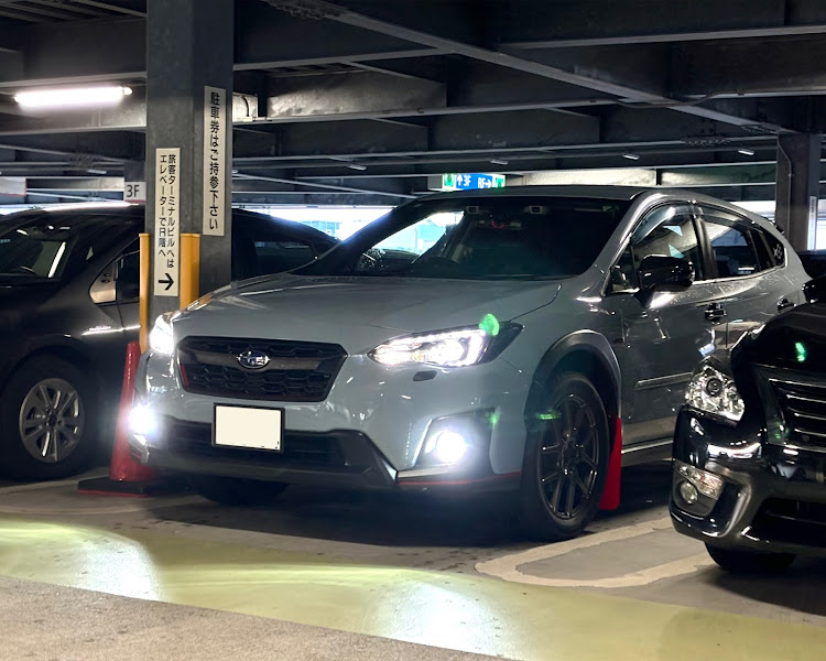 XVの小樽・海鮮丼・ルタオ ドゥーブルフロマージュ・小樽ビールに関するカスタム事例の投稿画像2枚目