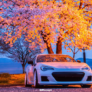 BRZ ZC6