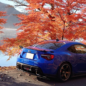 BRZ ZC6