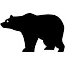 Bear Facts Chrome extension download