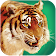 Parler tigre icon