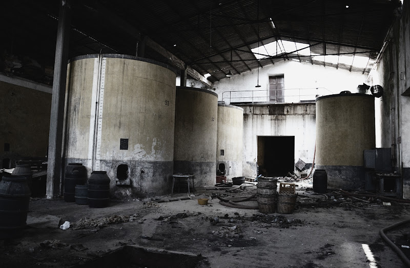 Era una cantina. di claudio.gravina