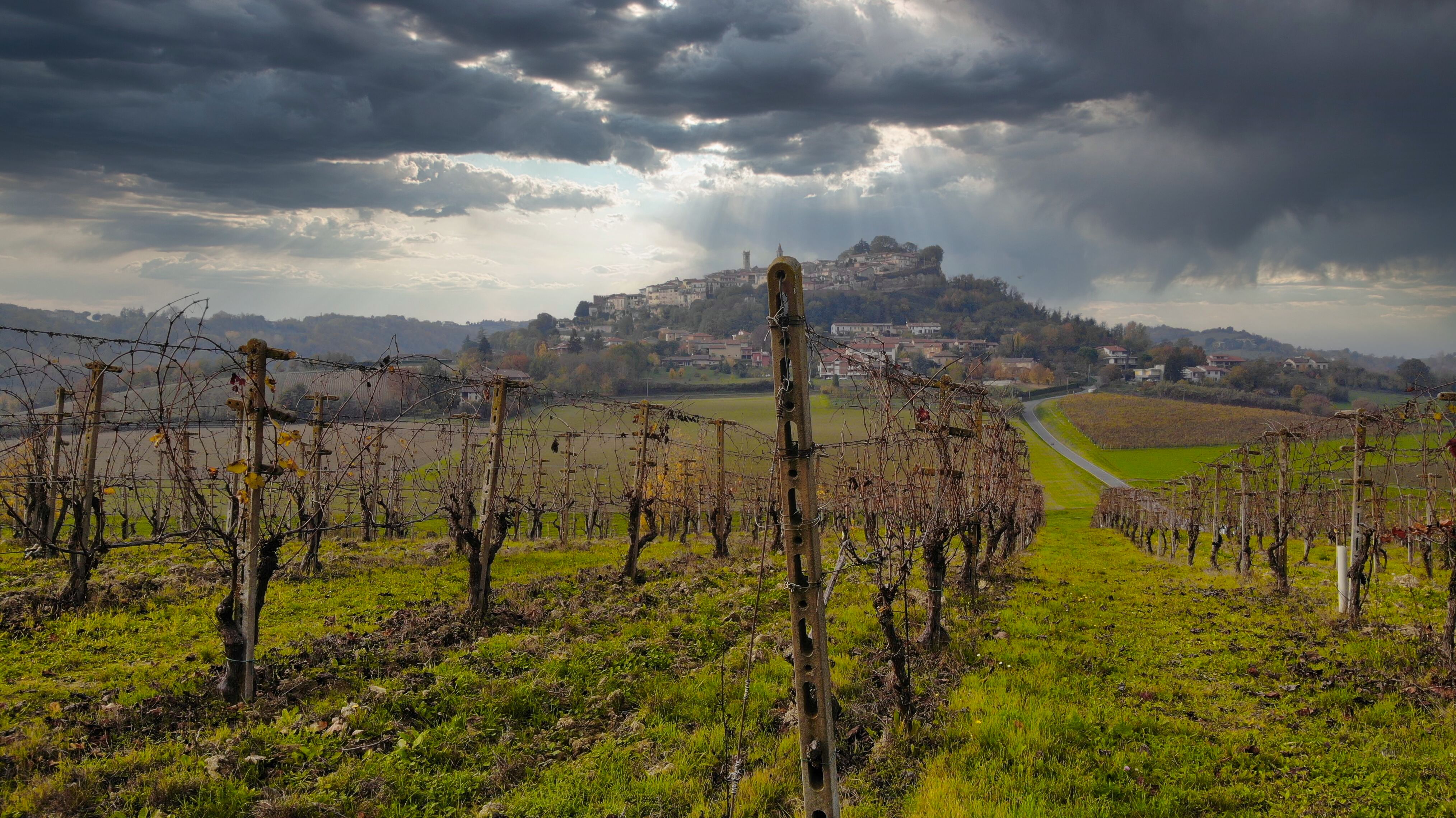 La vendemmia è terminata di cimola