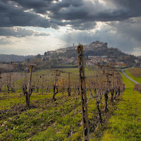 La vendemmia è terminata di 