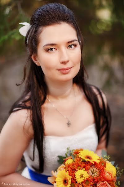 Wedding photographer Dmitriy Malyshev (dmitry-malyshev). Photo of 14 October 2014