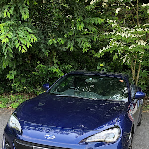 BRZ ZC6