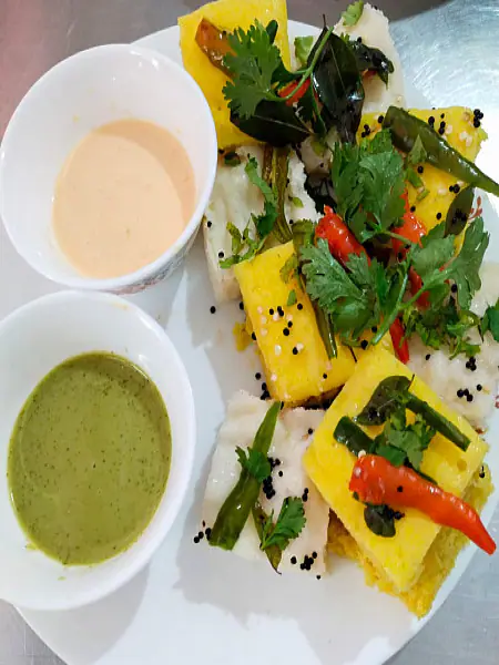 Mix Dhokla Combo