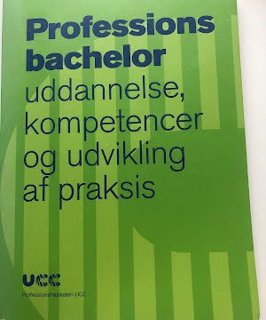 Professionsbachelor