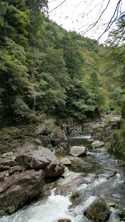 の投稿画像18枚目