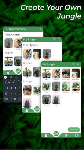 Screenshot My Jungle