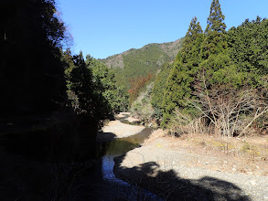 川沿いに