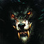 Wolf HD Wallpaper New Tab