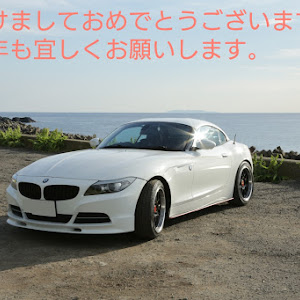 Z4 E89