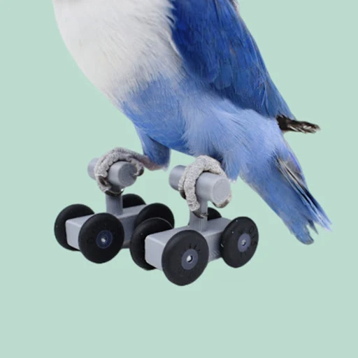 Bird Training Toy Set Mini Roller Skates for Parrots Budgies Cockatiel Skates Toy Training for Parakeet Cockatiel G2AB