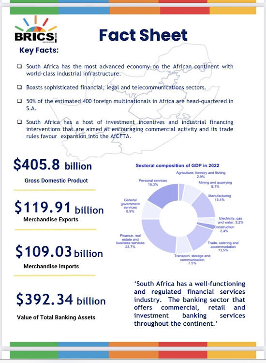 What South Africa brings to the Brics table in relation to the other nations.