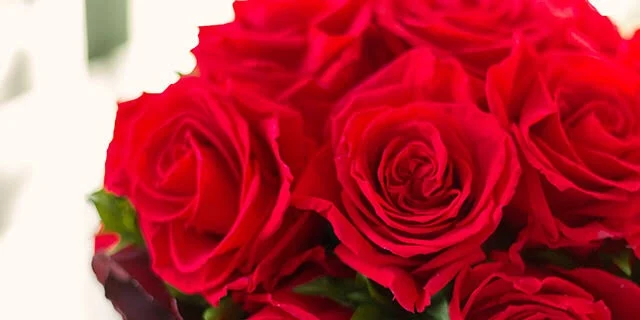 「三本の赤い薔薇」のメインビジュアル