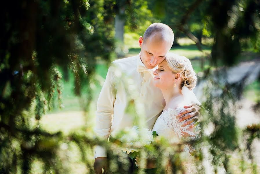 Wedding photographer Evelina Pavel (sypsokites). Photo of 9 October 2014